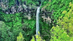 Coban Rondo: Lokasi, Aktivitas Wisata, lalu juga Harga Tiket Masuk
