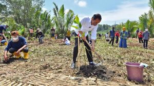 Cuap-cuap Manis saat Krisis Iklim Makin Menggila